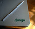 Django green 5 cms. vinyl - Photo