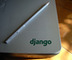 Django green 5 cms. vinyl - Photo