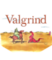 Valgrind white sticker - Design