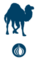 Camiseta Perl Camel Blue - Diseño