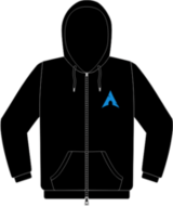 Arch Only Logo sweatshirt (FW0289)
